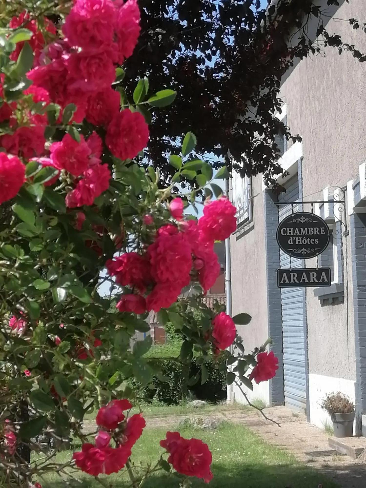 Arara Bed and Breakfast Montfaucon-d'Argonne Eksteriør billede